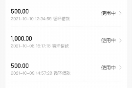 白朗为什么选择专业追讨公司来处理您的债务纠纷？